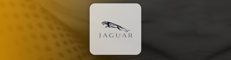 Jaguar Remote Keys